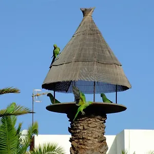 La Kasita In Primavera Appartement Costa Del Silencio